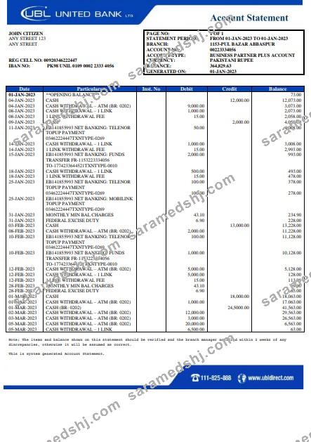 Pakistan UBL bank statement Word and PDF template